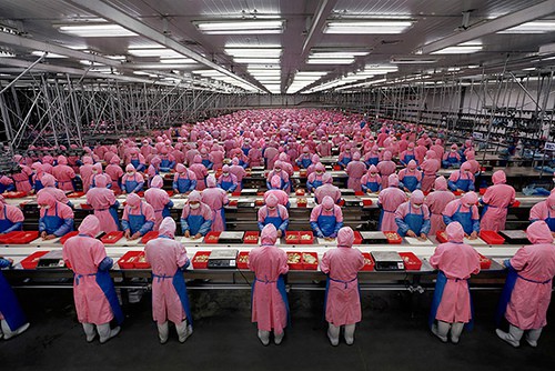 moving to china